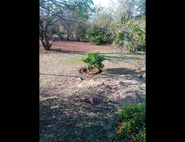 FARM FOR SALE IN ROOSSENEKAL AH